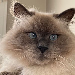 Meet your Posher, Susan